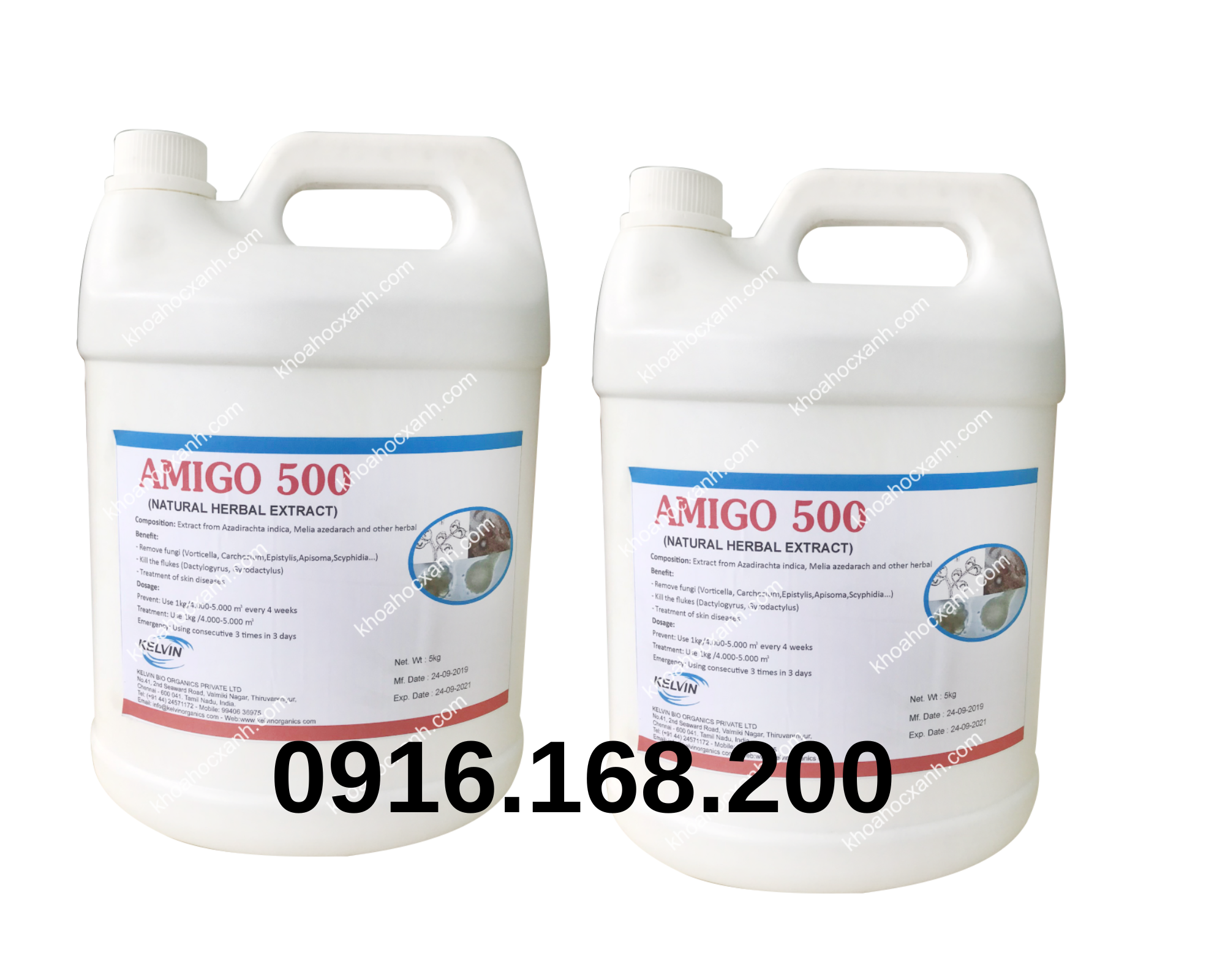 AMIGO 500 – Thảo dược diệt ngoại ký sinh trùng, an toàn cho cá giống